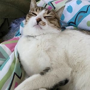 Meet your Posher, Rosie